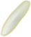 دانه برنج
